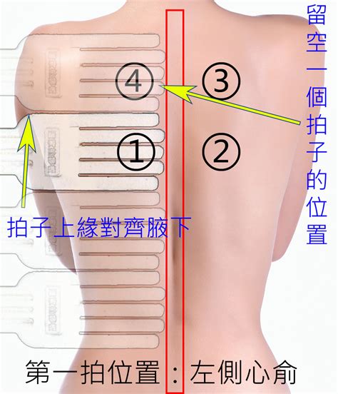 背位|後背位